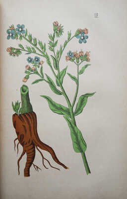 Горецкий В., Вильк. Русский народный лечебный травник и цветник.. В 2 ч Ч. 1-2. [М.], 1892-1893.